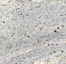 Kashmir White